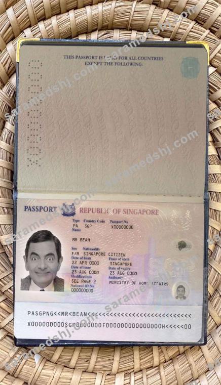 Singapore pass (2006-2017) photo look